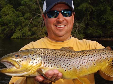 Manistee River Brown Trout