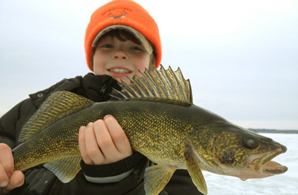 Lake St.Clair Walleye